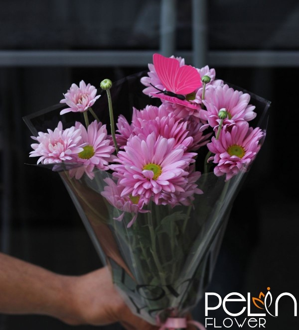 Mini chrysanthemum