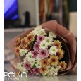 Klasik Renkli Papatya