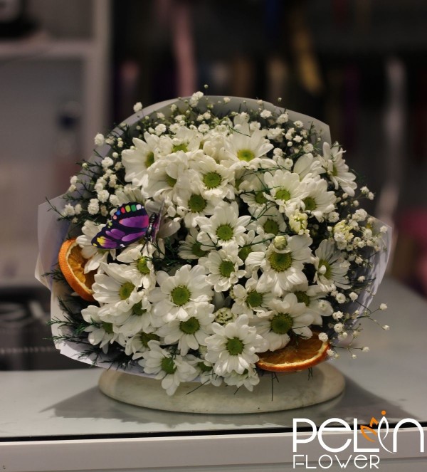 Mini Chrysanthemum