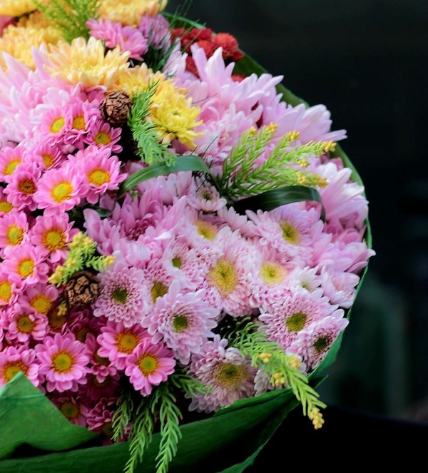İthal Chrysanthemum Blooms