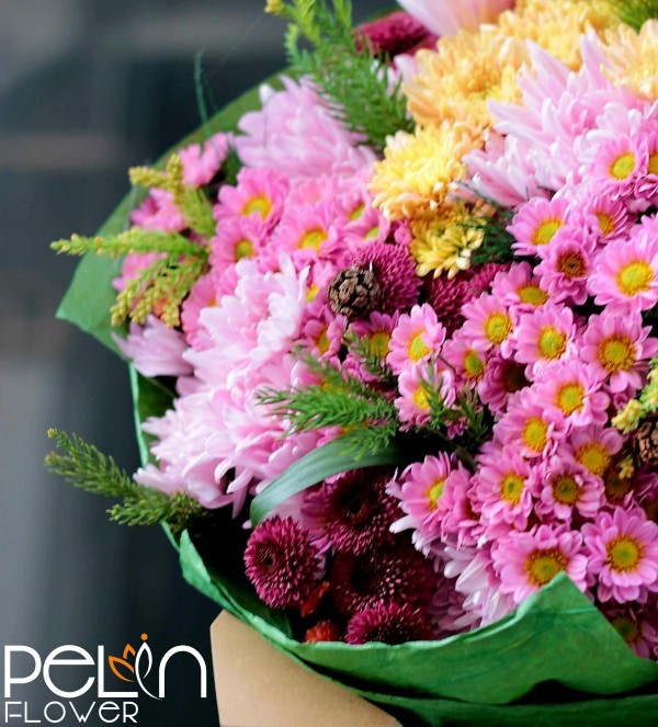 İthal Chrysanthemum Blooms