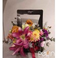 Jardin Nolia Arajman