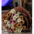 Klasik Renkli Papatya