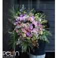 Moon Jardin Delux XLL Buket