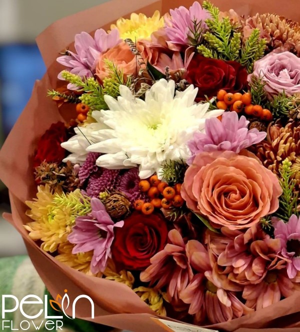 İthal Polite Society