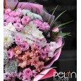 XLL İthal Sofia Buket