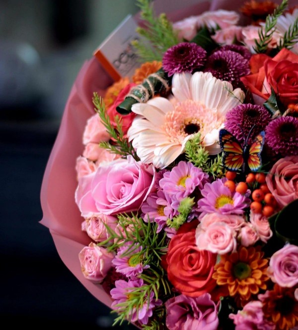 İthal Gravella Buket